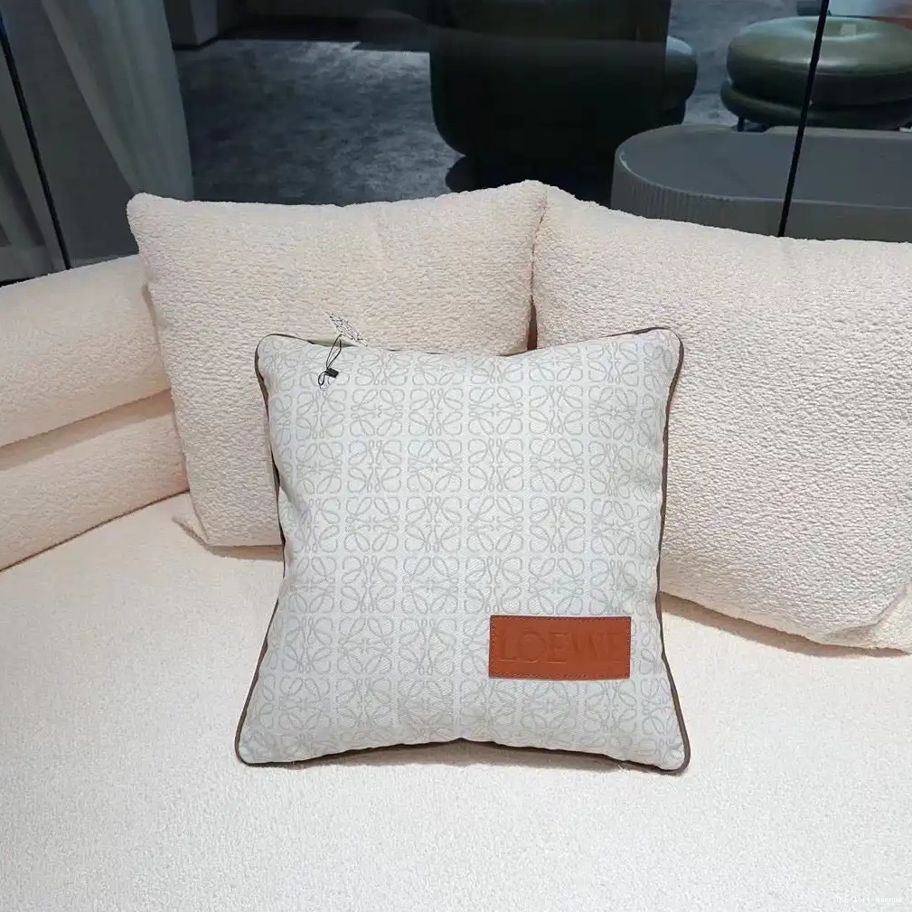 THROW LOEWE PILLOW 0608